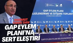 Mahmut Tanal, GAP Eylem Planı'nı Eleştirdi