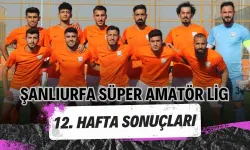 Şanlıurfa Deplasmanlı Süper Amatör Lig 12. Hafta Sonuçları