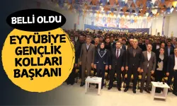 Salih Aldeniz, AK Parti Eyyübiye Gençlik Kolları Başkanı Oldu