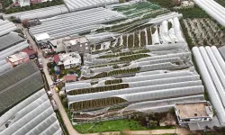 Antalya Büyükşehir Belediyesi afetin izlerini silmek için sahada