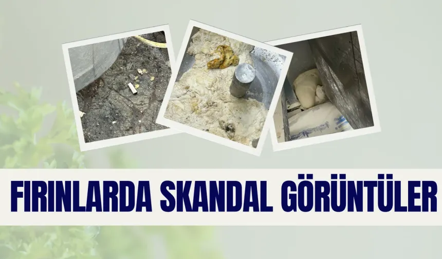 Şanlıurfa’nın Haliliye İlçesindeki Fırınlarda Yeni Skandal Görüntüler