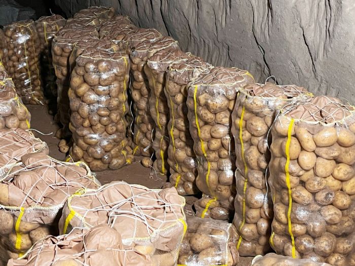 Patates Çuvalı